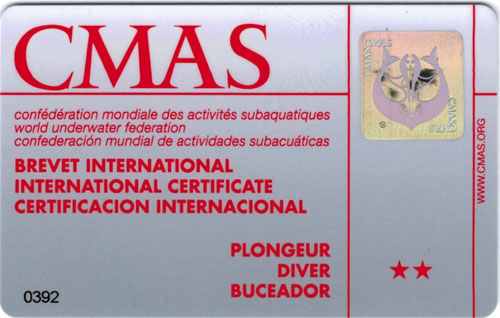 cmas p2