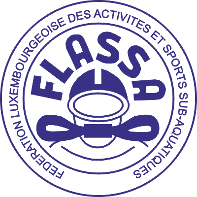 logo flassa