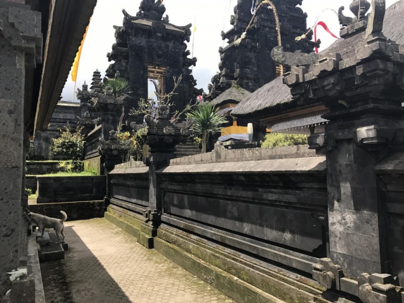 Bali2018_ja_167.jpg