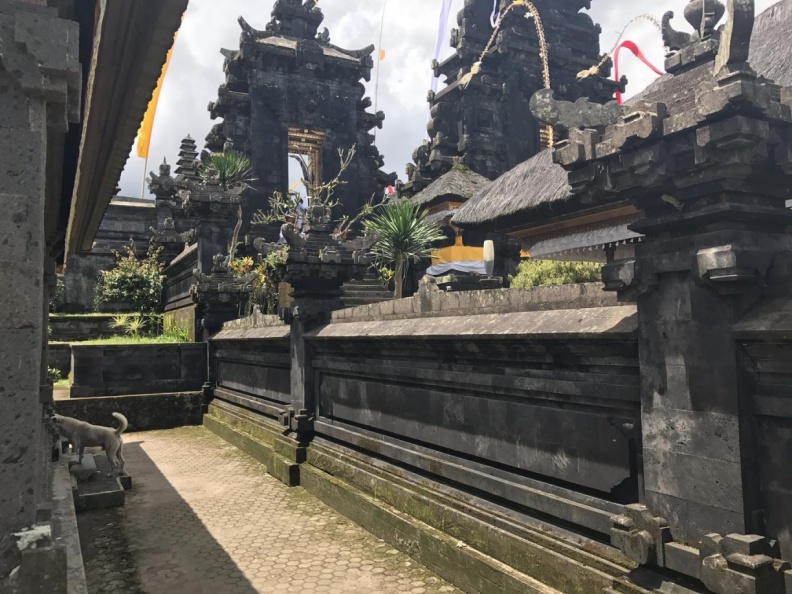 Bali2018_ja_168.jpg