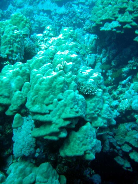 red sea 2004 16