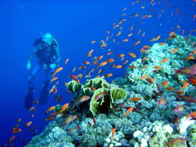red sea 2004 14